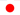 japanese